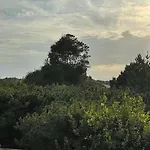 Beautiful Surrounded By Nature * Højby