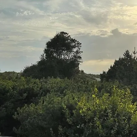 Beautiful Surrounded By Nature * Højby