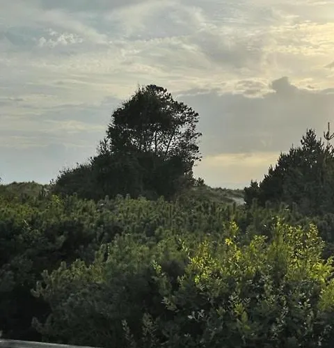 Beautiful Surrounded By Nature * Højby